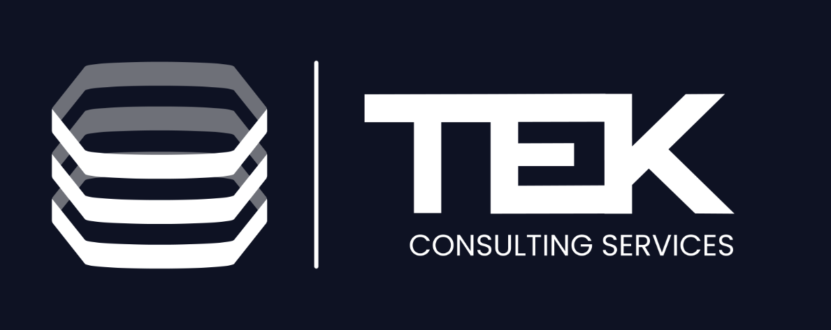 TEK Consulting Services logo